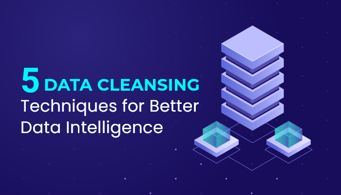 Data Cleansing