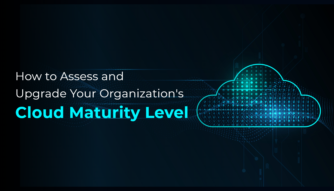 Cloud maturity level